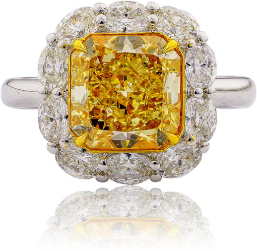 ring_02.png
